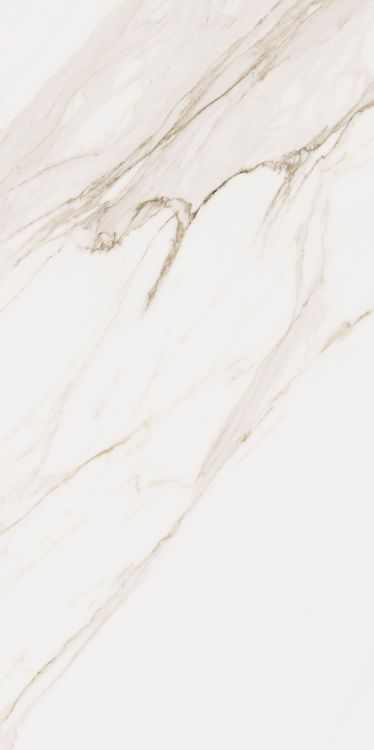 Omnia Calacatta Levigato 24 x 48